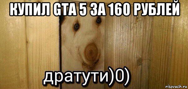 купил gta 5 за 160 рублей , Мем  Дратути