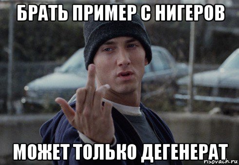 брать пример с нигеров может только дегенерат, Мем  Eminem