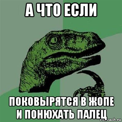 а что если поковырятся в жопе и понюхать палец, Мем Филосораптор