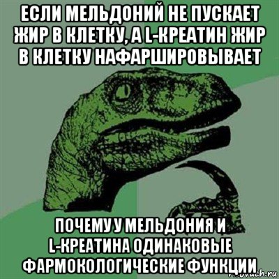 если мельдоний не пускает жир в клетку, а l-креатин жир в клетку нафаршировывает почему у мельдония и l-креатина одинаковые фармокологические функции, Мем Филосораптор