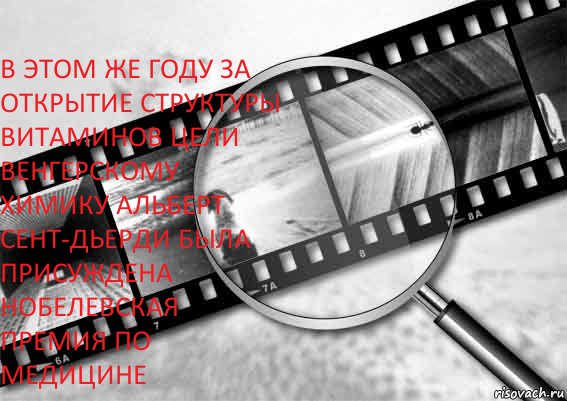   В ЭТОМ ЖЕ ГОДУ ЗА ОТКРЫТИЕ СТРУКТУРЫ ВИТАМИНОВ ЦЕЛИ ВЕНГЕРСКОМУ ХИМИКУ АЛЬБЕРТ СЕНТ-ДЬЕРДИ БЫЛА ПРИСУЖДЕНА НОБЕЛЕВСКАЯ ПРЕМИЯ ПО МЕДИЦИНЕ , Комикс Фотография как искусство