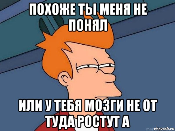 похоже ты меня не понял или у тебя мозги не от туда ростут а, Мем  Фрай (мне кажется или)