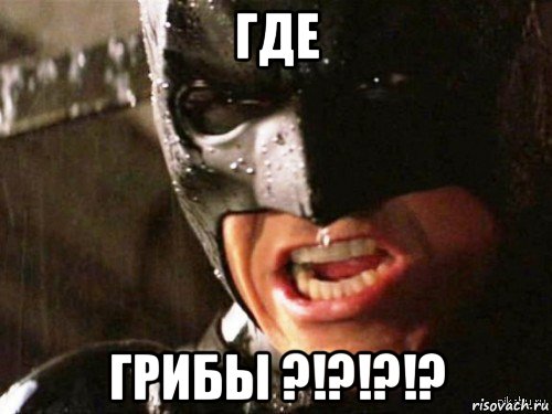 где грибы ?!?!?!?, Мем Где детонатор