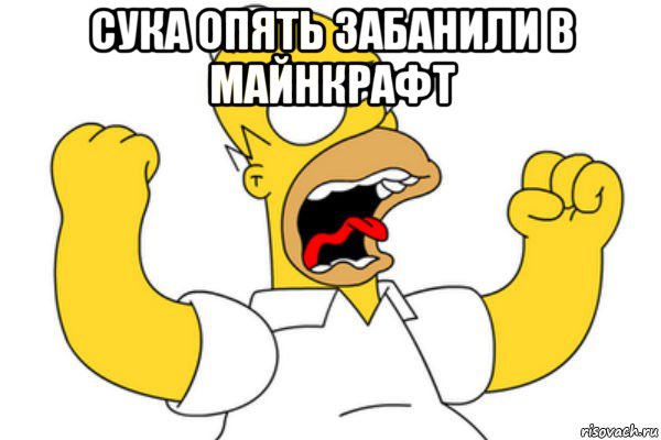 сука опять забанили в майнкрафт 