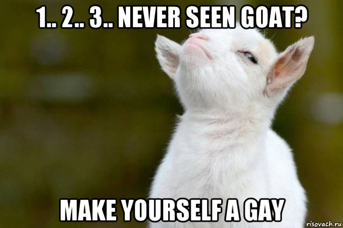 1.. 2.. 3.. never seen goat? make yourself a gay, Мем  Гордый козленок