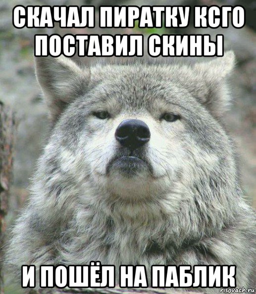 скачал пиратку ксго поставил скины и пошёл на паблик, Мем    Гордый волк