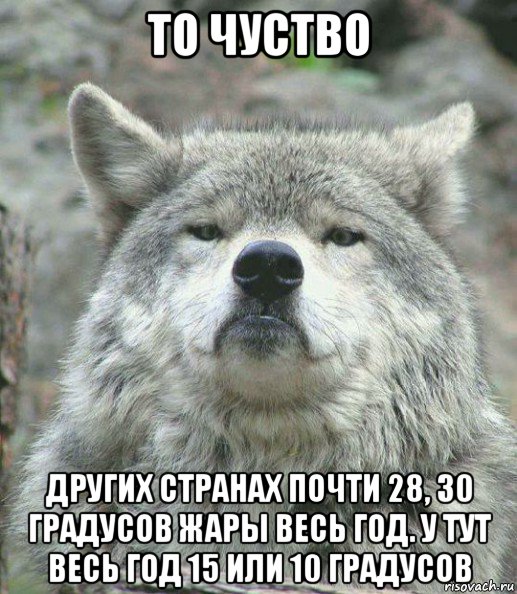 то чуство других странах почти 28, 30 градусов жары весь год. у тут весь год 15 или 10 градусов, Мем    Гордый волк