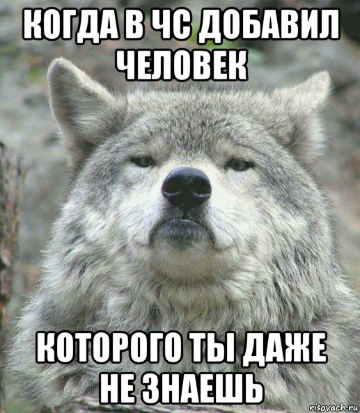 когда в чс добавил человек которого ты даже не знаешь, Мем    Гордый волк