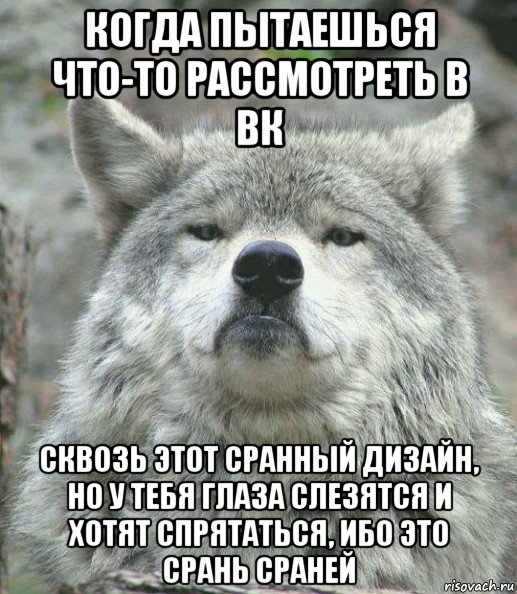 когда пытаешься что-то рассмотреть в вк сквозь этот сранный дизайн, но у тебя глаза слезятся и хотят спрятаться, ибо это срань сраней, Мем    Гордый волк