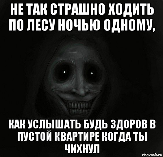 не так страшно ходить по лесу ночью одному, как услышать будь здоров в пустой квартире когда ты чихнул, Мем Ночной гость