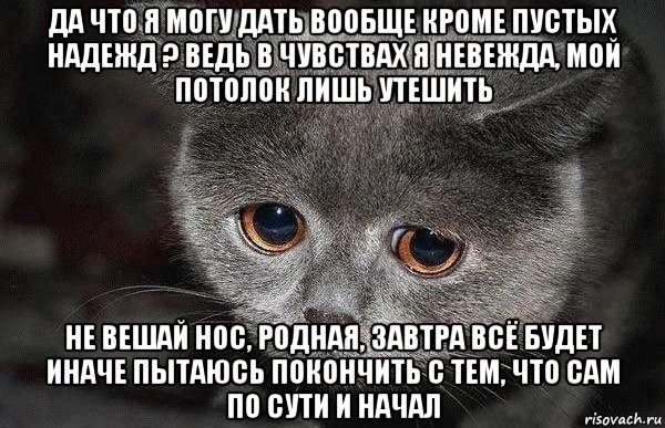 да что я могу дать вообще кроме пустых надежд ? ведь в чувствах я невежда, мой потолок лишь утешить не вешай нос, родная, завтра всё будет иначе пытаюсь покончить с тем, что сам по сути и начал, Мем  Грустный кот