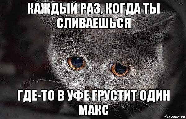 каждый раз, когда ты сливаешься где-то в уфе грустит один макс, Мем  Грустный кот