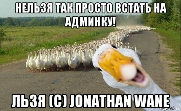 нельзя так просто встать на админку! льзя (с) jonathan wane, Мем гуси