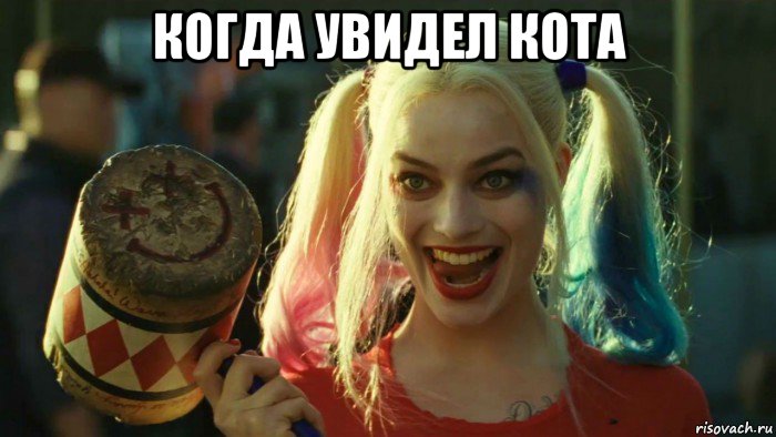 когда увидел кота , Мем    Harley quinn