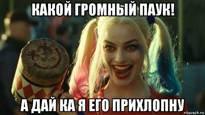 какой громный паук! а дай ка я его прихлопну, Мем    Harley quinn