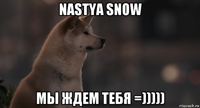 nastya snow мы ждем тебя =))))), Мем Хатико