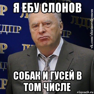 я ебу слонов собак и гусей в том числе, Мем Хватит это терпеть (Жириновский)