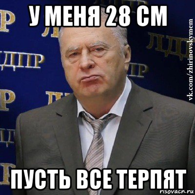 у меня 28 см пусть все терпят, Мем Хватит это терпеть (Жириновский)