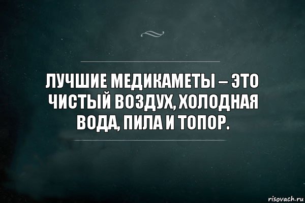 Лучшие медикаметы – это чистый воздух, холодная вода, пила и топор., Комикс Игра Слов