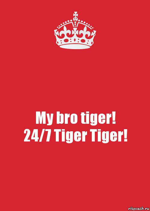 My bro tiger!
24/7 Tiger Tiger!, Комикс Keep Calm 3