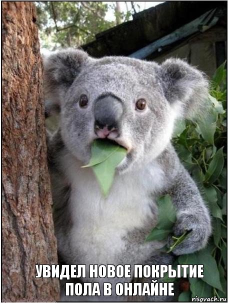 Увидел новое покрытие пола в онлайне, Комикс коала