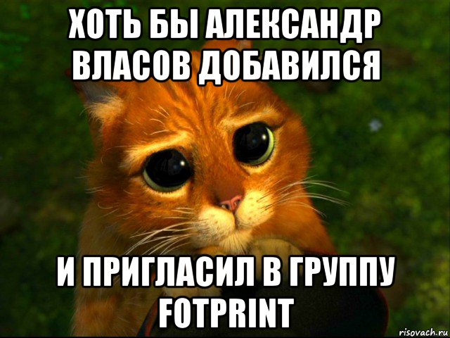 хоть бы александр власов добавился и пригласил в группу fotprint, Мем кот из шрека