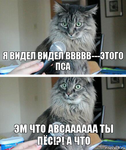 Я видел видел ввввв---этого пса Эм что авсаааааа ты пёс!?! А что, Комикс  кот с микрофоном