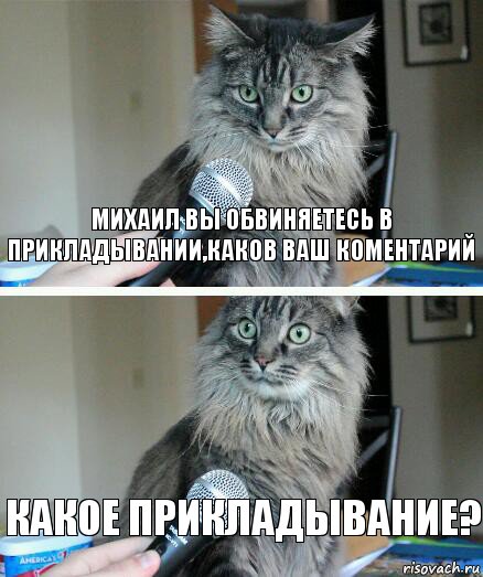 Михаил вы обвиняетесь в прикладывании,каков ваш коментарий какое прикладывание?, Комикс  кот с микрофоном