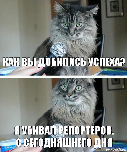 как вы добились успеха? я убивал репортеров.
с сегодняшнего дня, Комикс  кот с микрофоном