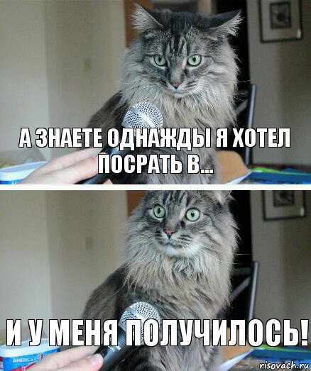 А знаете однажды я хотел посрать в... и у меня получилось!, Комикс  кот с микрофоном