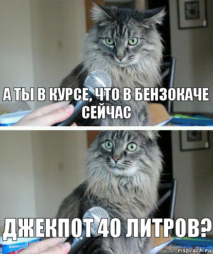 а ты в курсе, что в БЕНЗОКАЧЕ сейчас джекпот 40 литров?, Комикс  кот с микрофоном