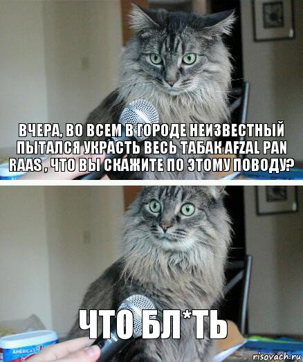 Вчера, во всем в городе неизвестный пытался украсть весь табак AFZAL PAN RAAS , что вы скажите по этому поводу? ЧТО БЛ*ть, Комикс  кот с микрофоном