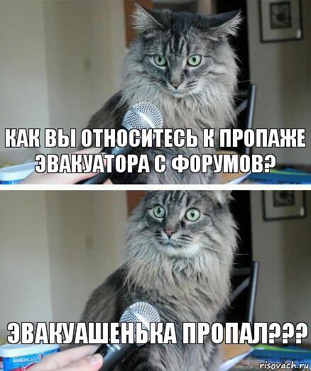 как вы относитесь к пропаже эвакуатора с форумов? эвакуашенька пропал???, Комикс  кот с микрофоном