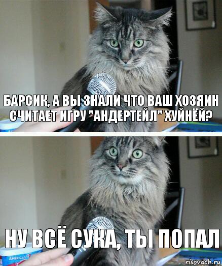 Барсик, а Вы знали что Ваш хозяин считает игру "Андертейл" хуйнёй? Ну всё сука, ты попал, Комикс  кот с микрофоном