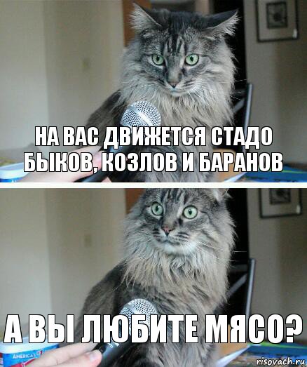 на вас движется стадо быков, козлов и баранов а вы любите мясо?, Комикс  кот с микрофоном