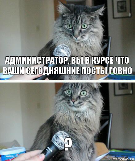 Администратор, вы в курсе что ваши сегодняшние посты говно ?, Комикс  кот с микрофоном