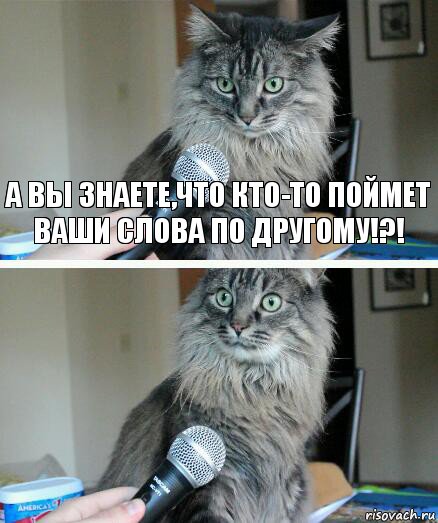 А вы знаете,что кто-то поймет ваши слова по другому!?! , Комикс  кот с микрофоном