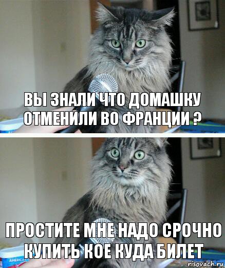 Вы знали что домашку отменили во Франции ? Простите мне надо срочно купить кое куда билет, Комикс  кот с микрофоном