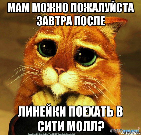 мам можно пожалуйста завтра после линейки поехать в сити молл?, Мем Котик из Шрека