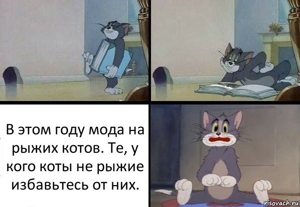 В этом году мода на рыжих котов. Те, у кого коты не рыжие избавьтесь от них., Комикс  Кот Том в шоке