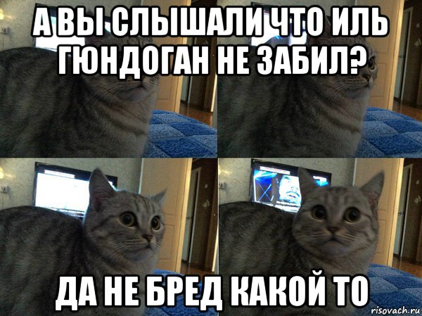 а вы слышали что иль гюндоган не забил? да не бред какой то, Мем  Кот в шоке