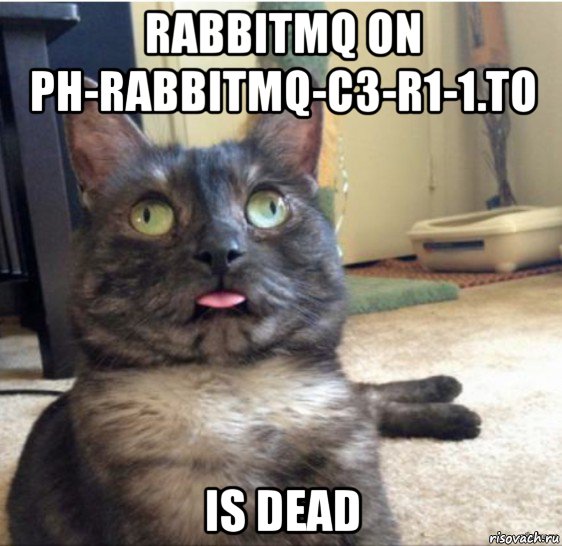 rabbitmq on ph-rabbitmq-c3-r1-1.to is dead, Мем   Кот завис