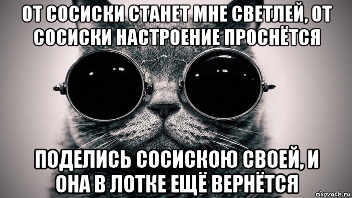 от сосиски станет мне светлей, от сосиски настроение проснётся поделись сосискою своей, и она в лотке ещё вернётся, Мем Котоматрица