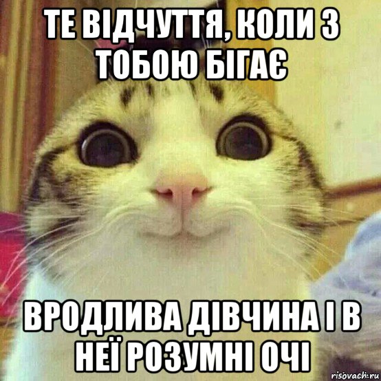 те відчуття, коли з тобою бігає вродлива дівчина і в неї розумні очі, Мем       Котяка-улыбака