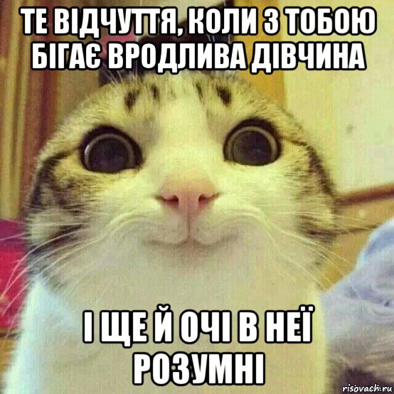 те відчуття, коли з тобою бігає вродлива дівчина і ще й очі в неї розумні, Мем       Котяка-улыбака