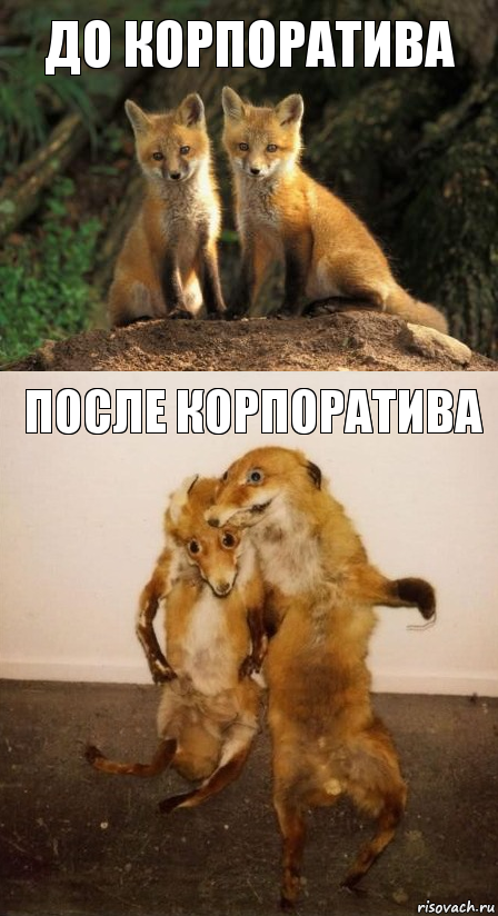 до корпоратива после корпоратива, Комикс Лисицы