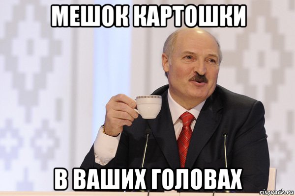 мешок картошки в ваших головах, Мем Лукашенко