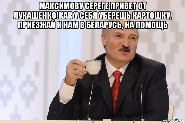 максимову сереге привет от лукашенко!как у себя уберешь картошку, приезжай к нам в беларусь, на помощь , Мем Лукашенко