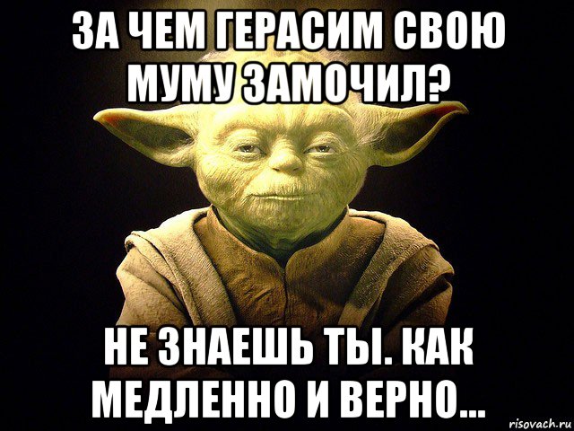 за чем герасим свою муму замочил? не знаешь ты. как медленно и верно..., Мем  мастер йода