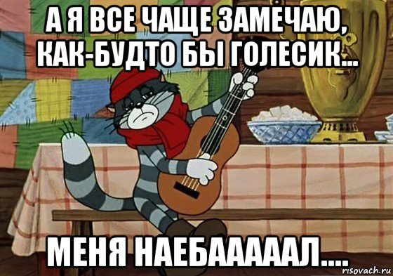 а я все чаще замечаю, как-будто бы голесик... меня наебааааал...., Мем Грустный Матроскин с гитарой